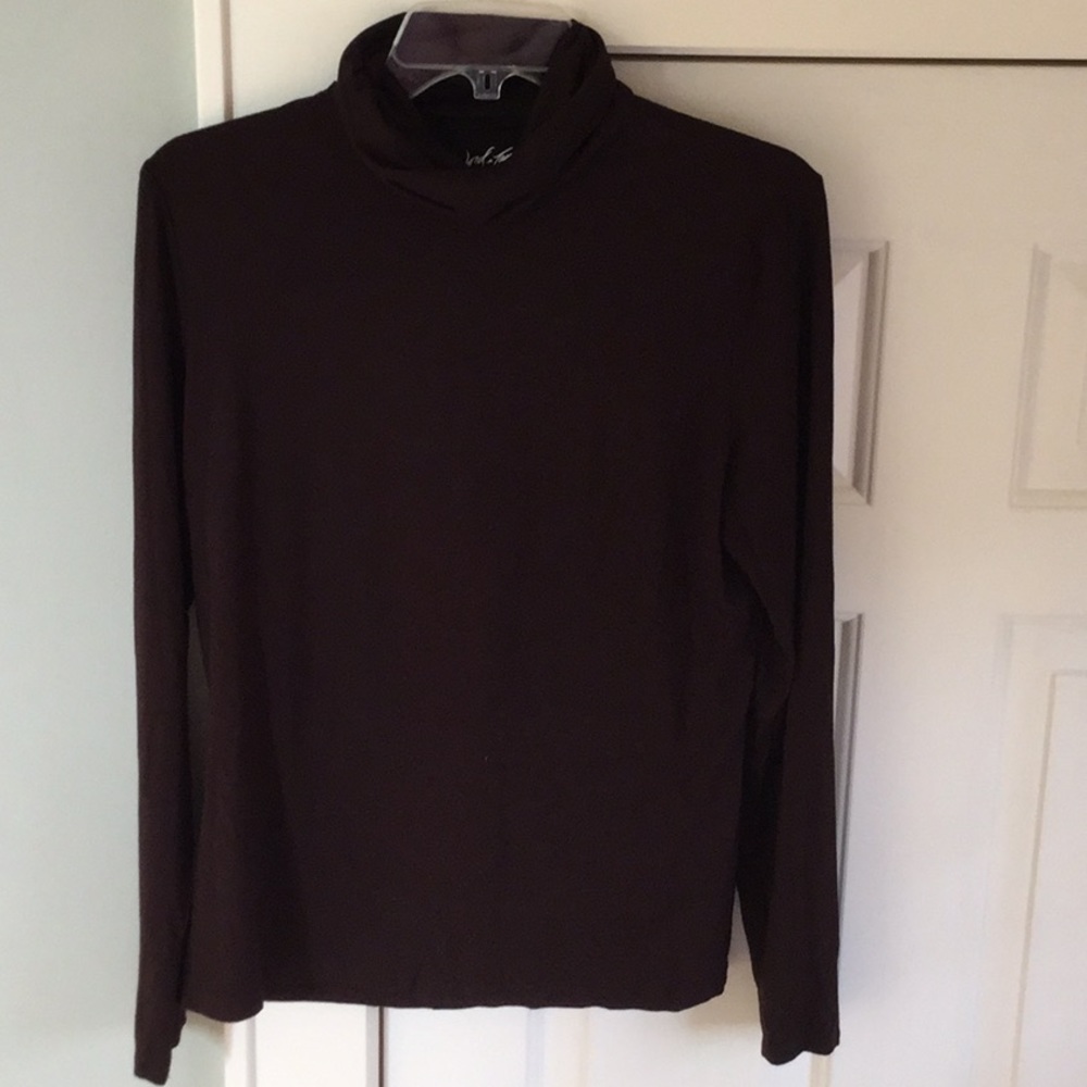 Lord and Taylor brown stretchy turtleneck.